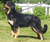 Damirazin Cäihkysääri